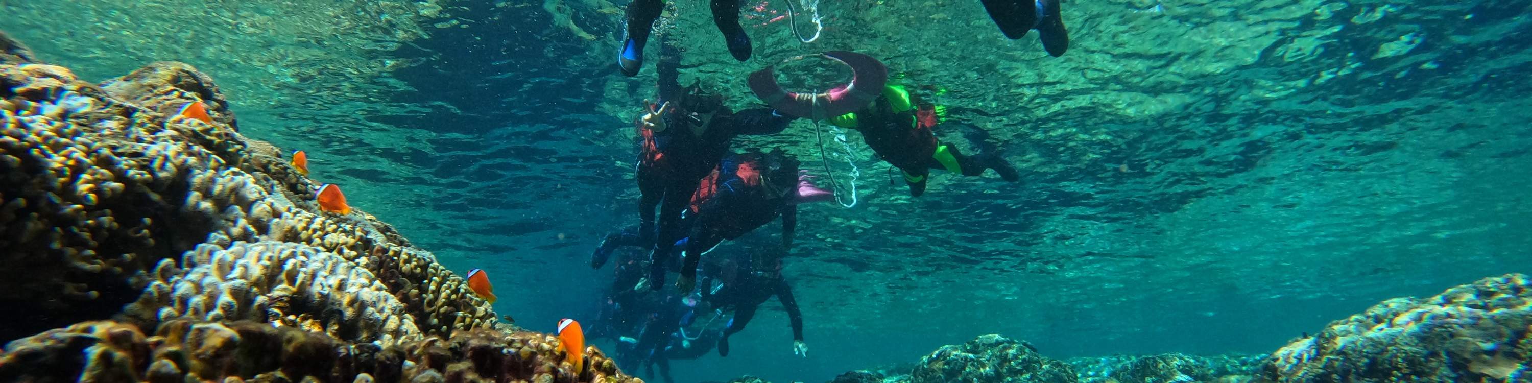 Menyeronokkan aktiviti snorkeling bersama keluarga