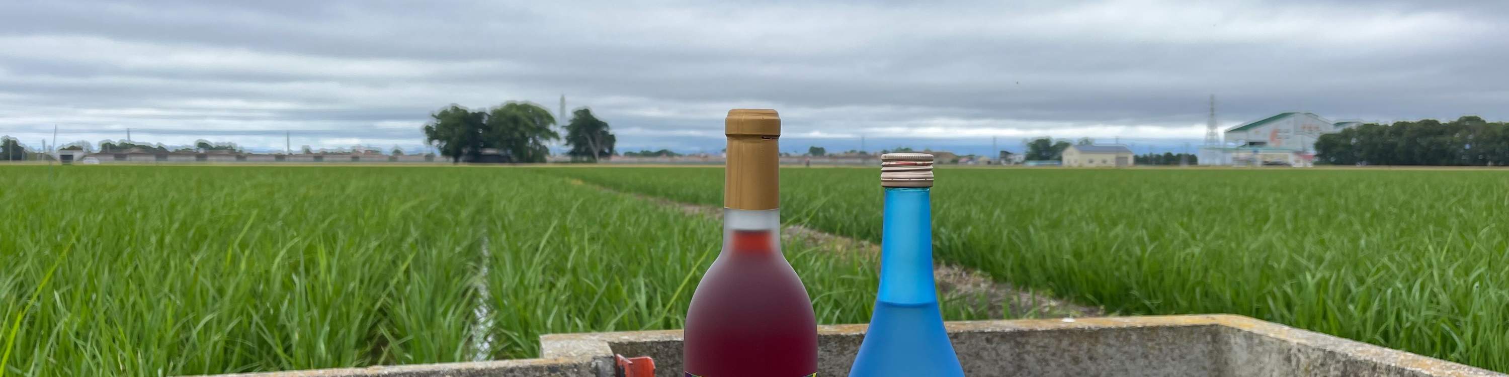 Bạn có thể thưởng thức các đặc sản và hương vị địa phương.