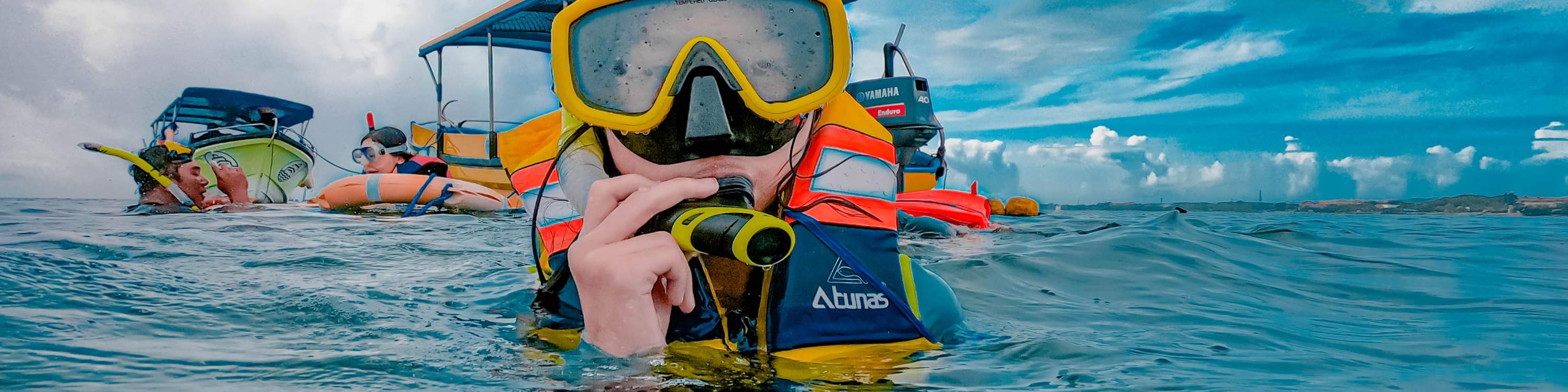 Turtle Island, Glass Bottom Boat, Mangrove Cruise by JTB Indonesia