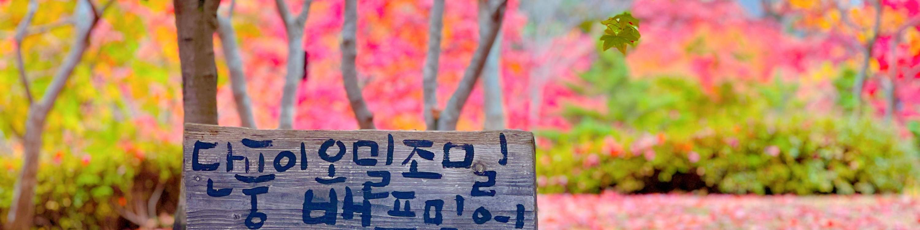 Билет на остров Нами