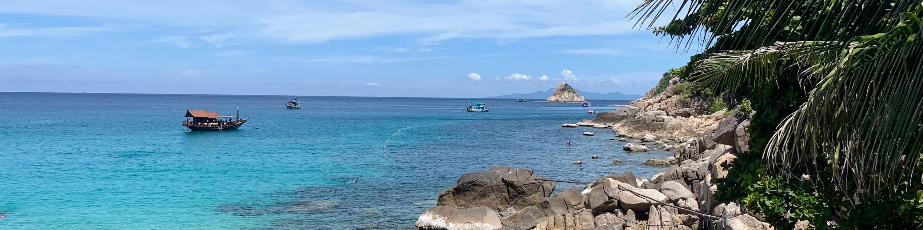 从帕岸岛到南苑岛和涛岛的高级浮潜奇观