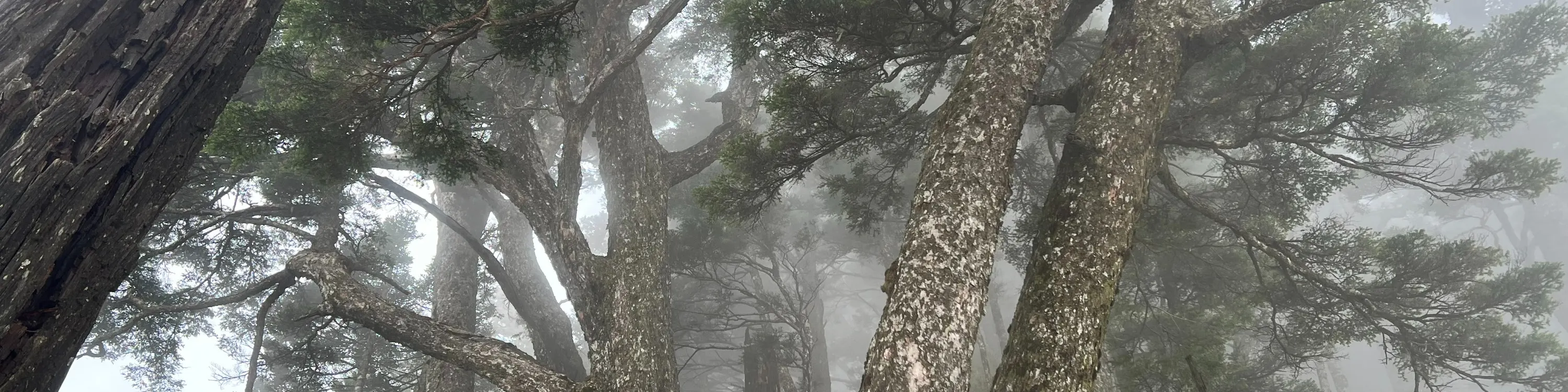 塔关山