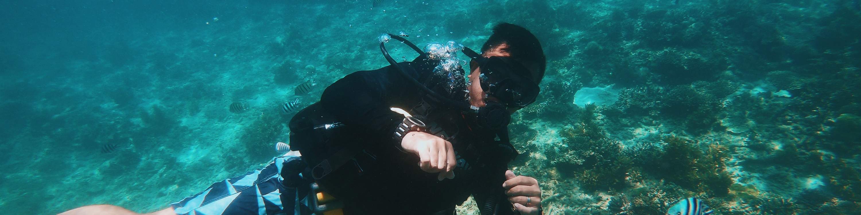 シュノーケリングorダイビング体験（ムーンベイ / コタキナバル発）