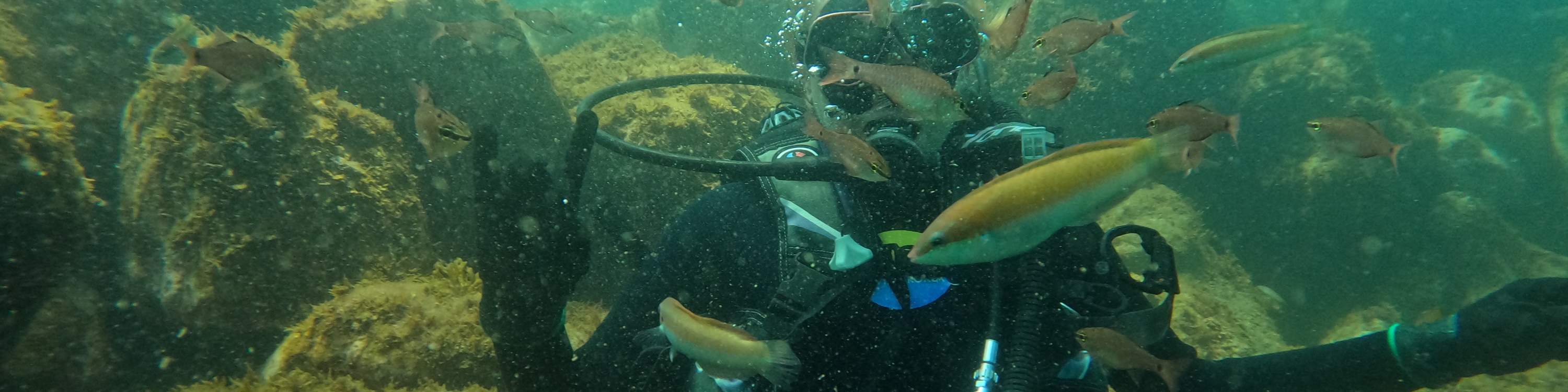 在西归浦附近海域体验水肺潜水