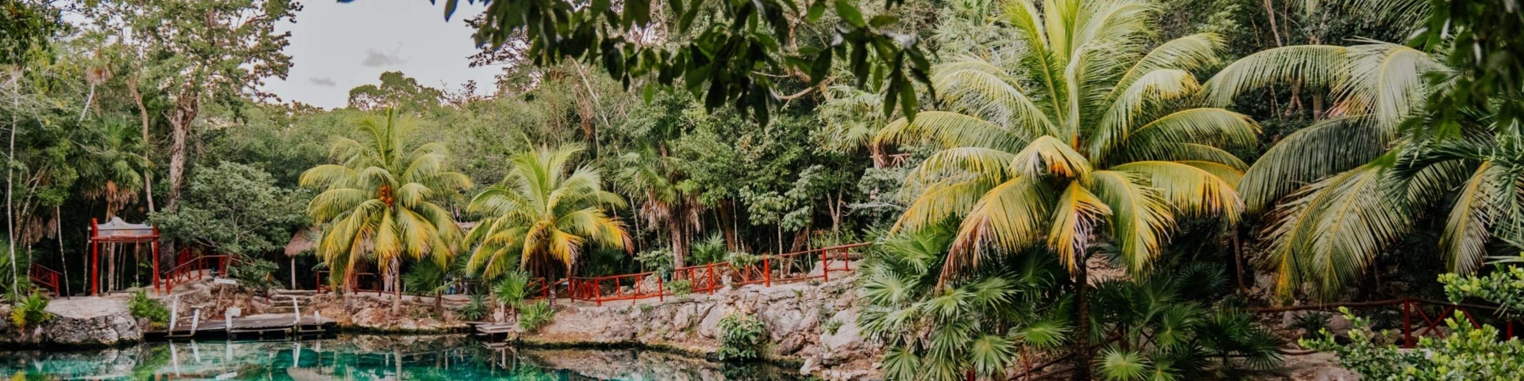 각기 다른 매력과 신비로운 분위기를 자랑하는 특별한 세노테 4곳을 탐험해보세요.