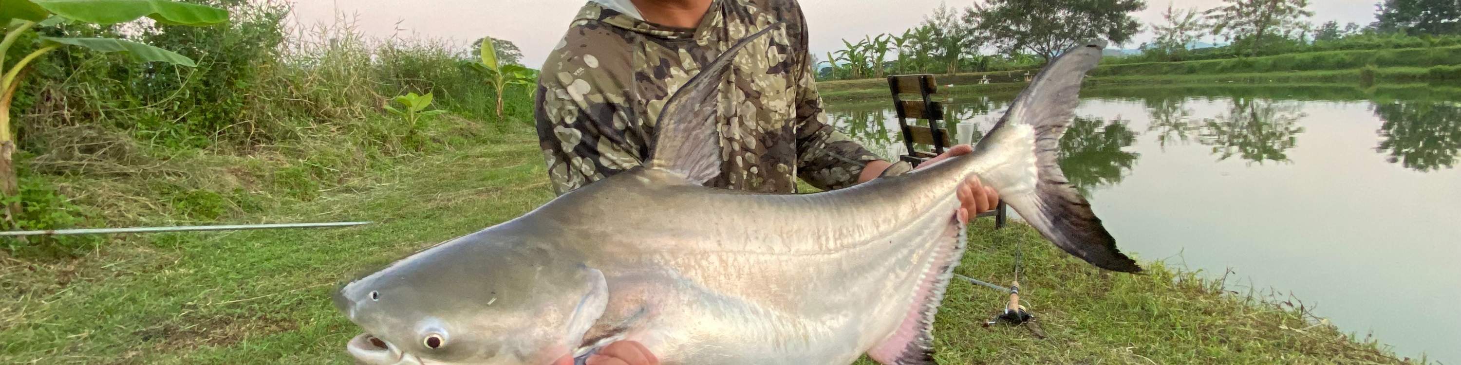 aktivitas memancing di Chiang Mai