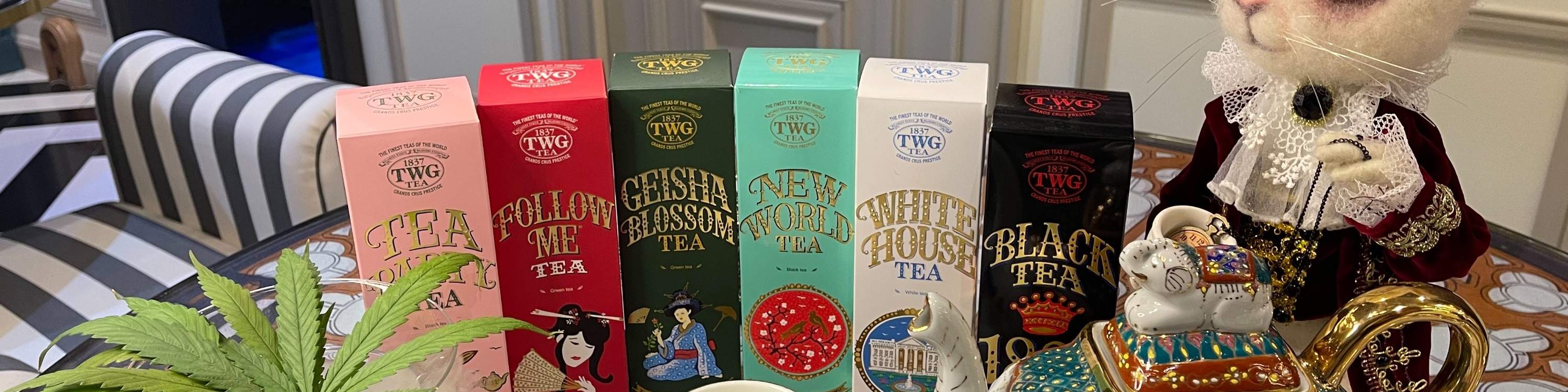 ไฮที บาย พิคคาบู