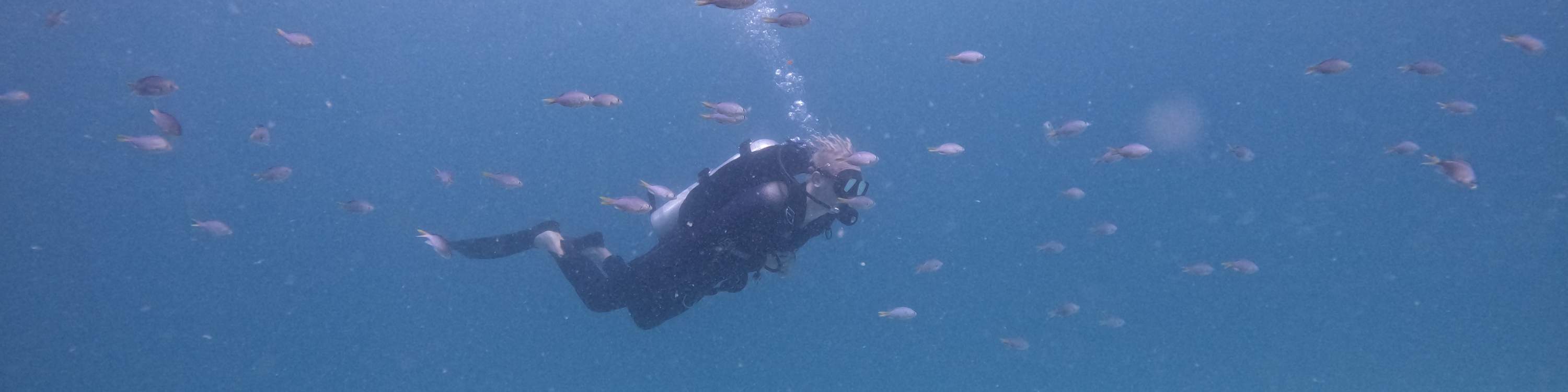 ドバイ発：スキューバダイビング＆シュノーケリング（BBQランチ付き）