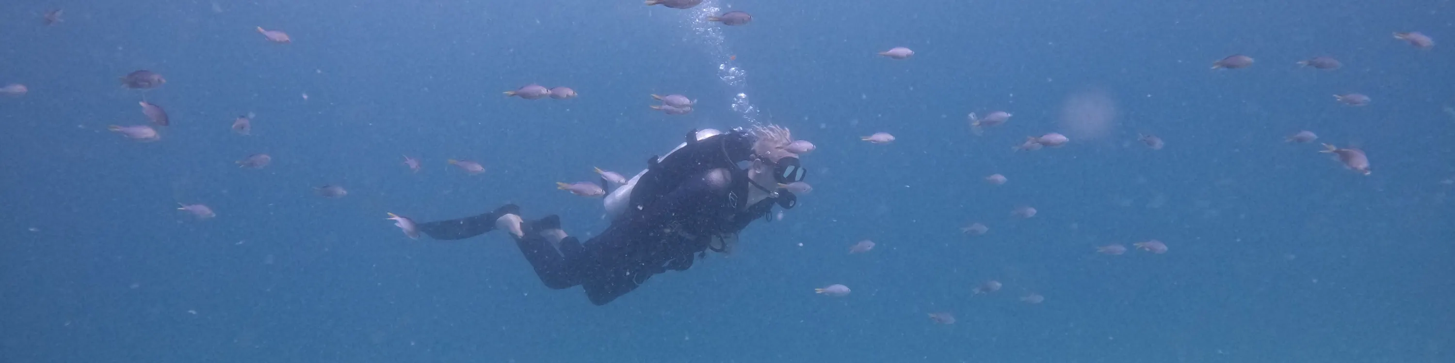 从迪拜出发：水肺潜水和浮潜，含烧烤午餐