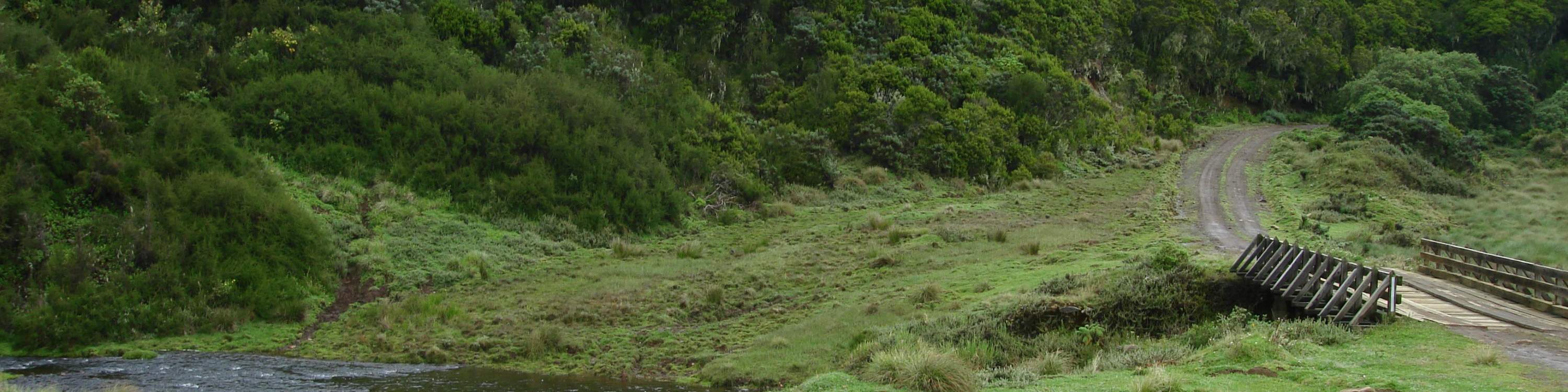 Adventure Awaits Explore Aberdare for Big 5 Sightings, Waterfalls & Wild Camping Klook New