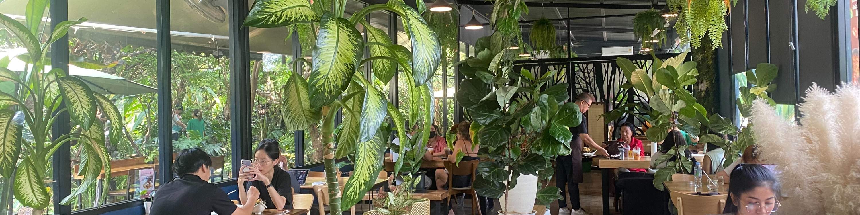 meet-u-cafe-in-bangkok-ig-cafe-with-natural-environment-in-bangkok