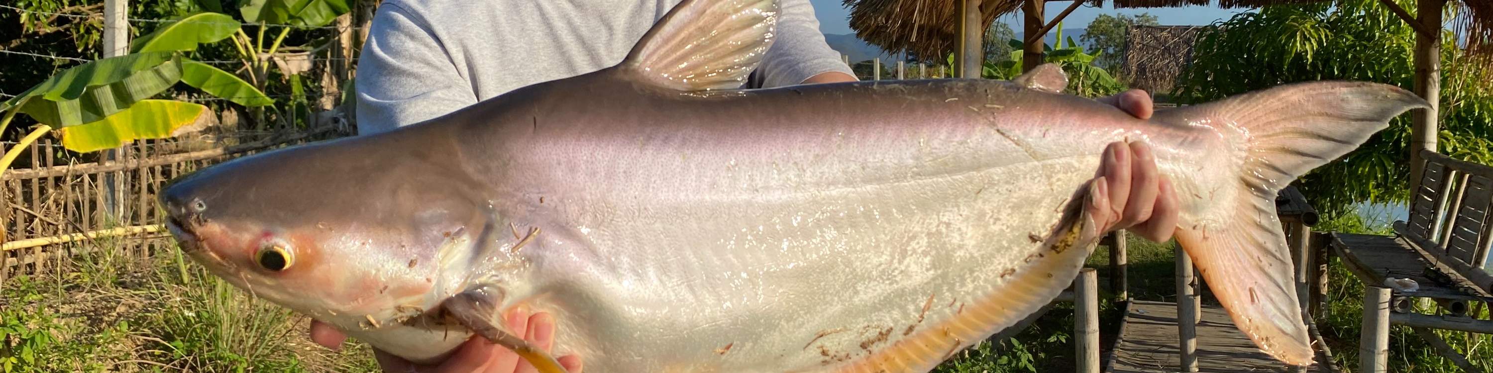 Petualangan memancing di Chiang Mai