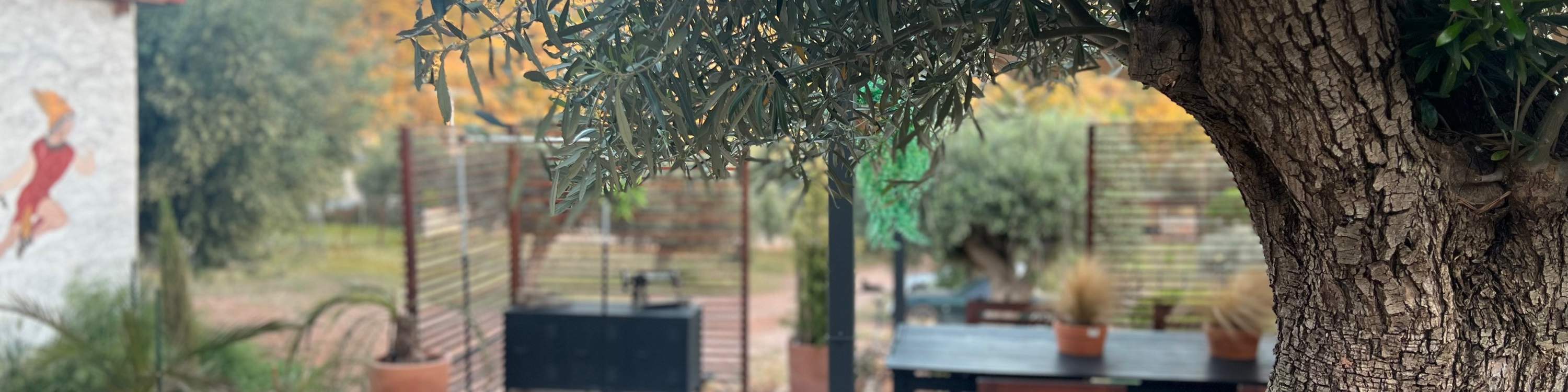 Athens , Hy Lạp : Xưởng làm dép da thủ công