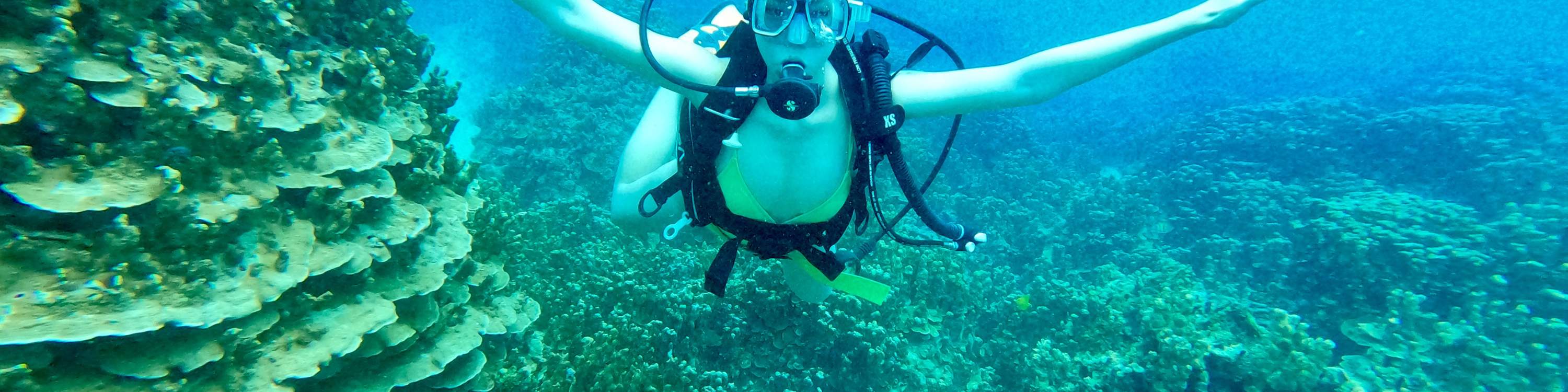 千葉・勝浦】ガイド付シュノーケリング♪ 温水シャワー、更衣室