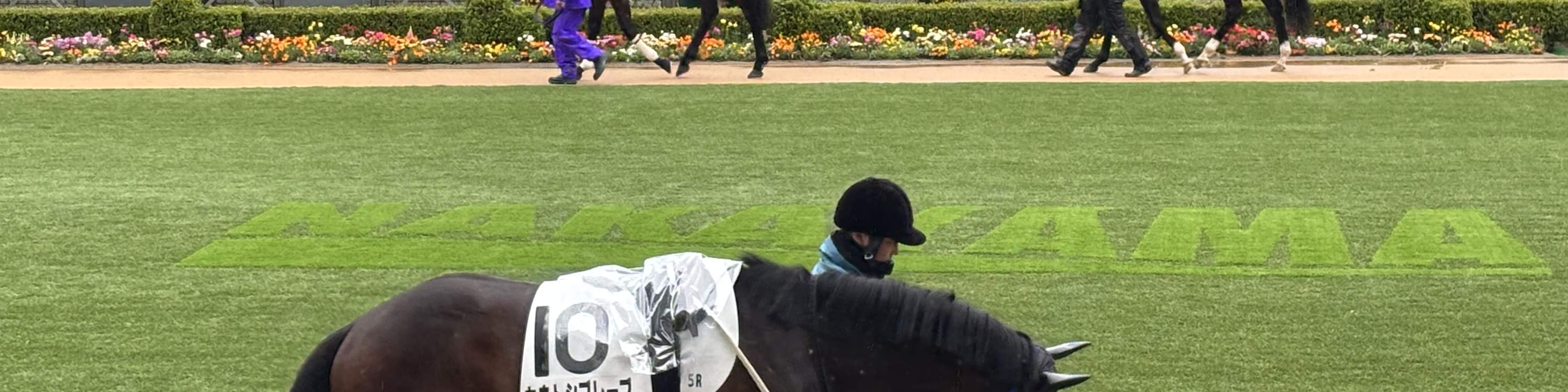 Tokyo Horse Racing Tour bersama Penggemar Lokal (dengan Tiket)