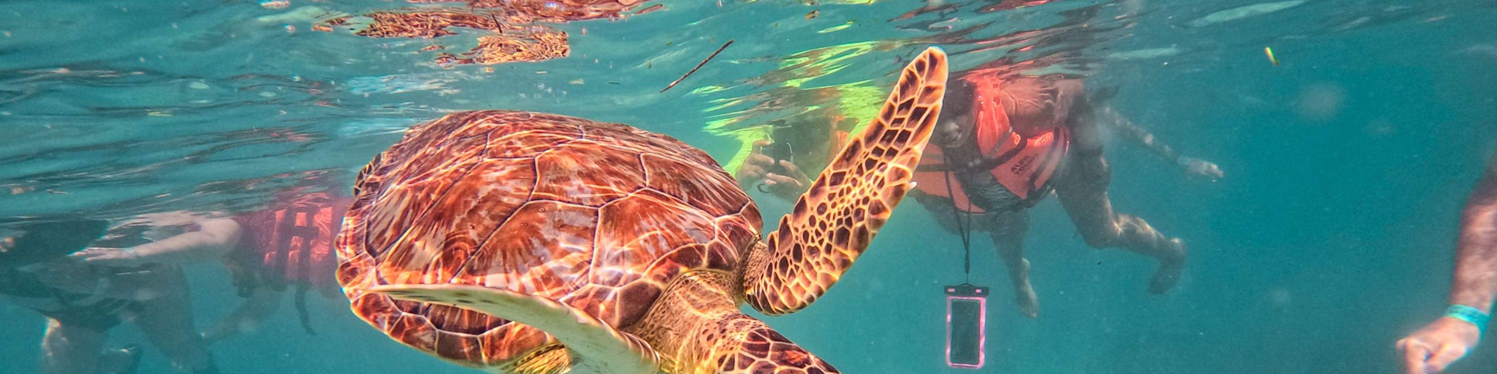 Тур к руинам майя Тулум и Коба с купанием в сеноте и сноркелингом в Мексике