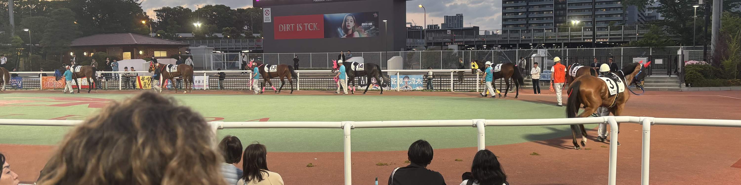 地元ファンと行く東京競馬ツアー（チケット付き）