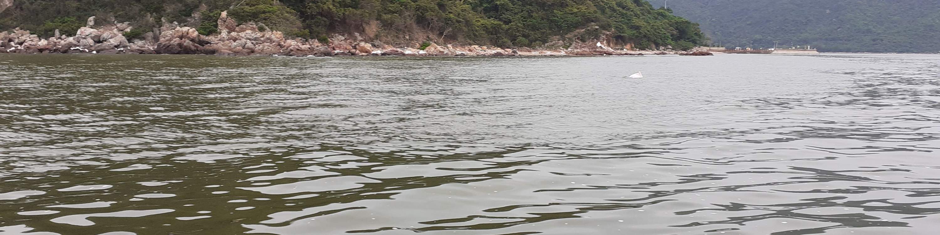 Tiket bot bersiar-siar Tai O