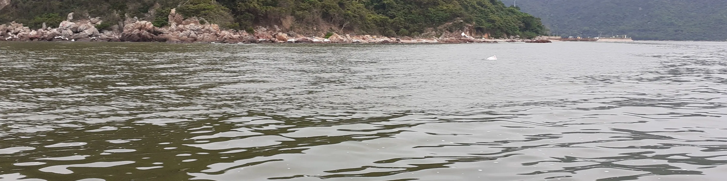 大澳观光小艇游船票