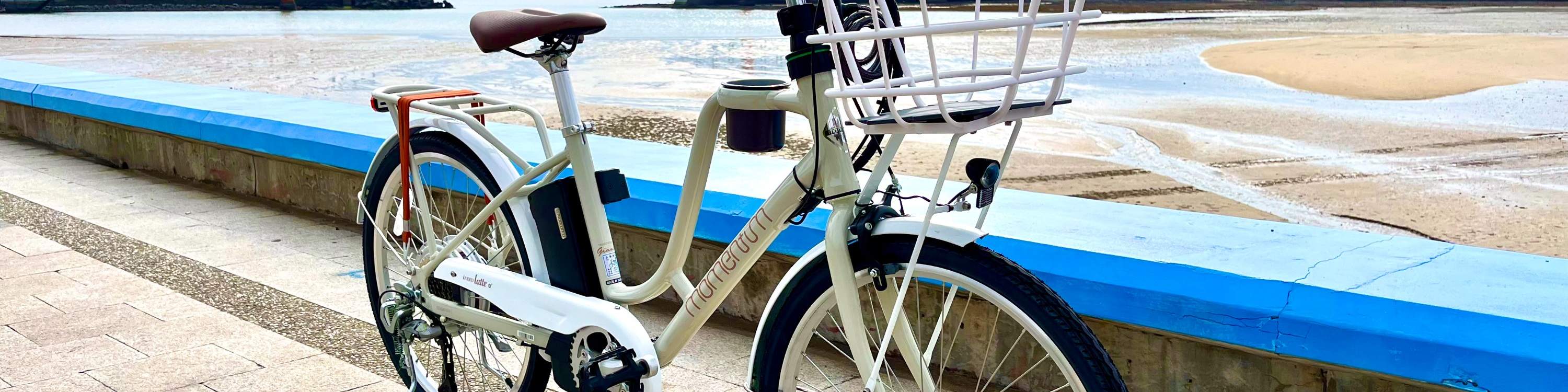 ประสบการณ์การขับขี่จักรยานไฟฟ้า Little Lark