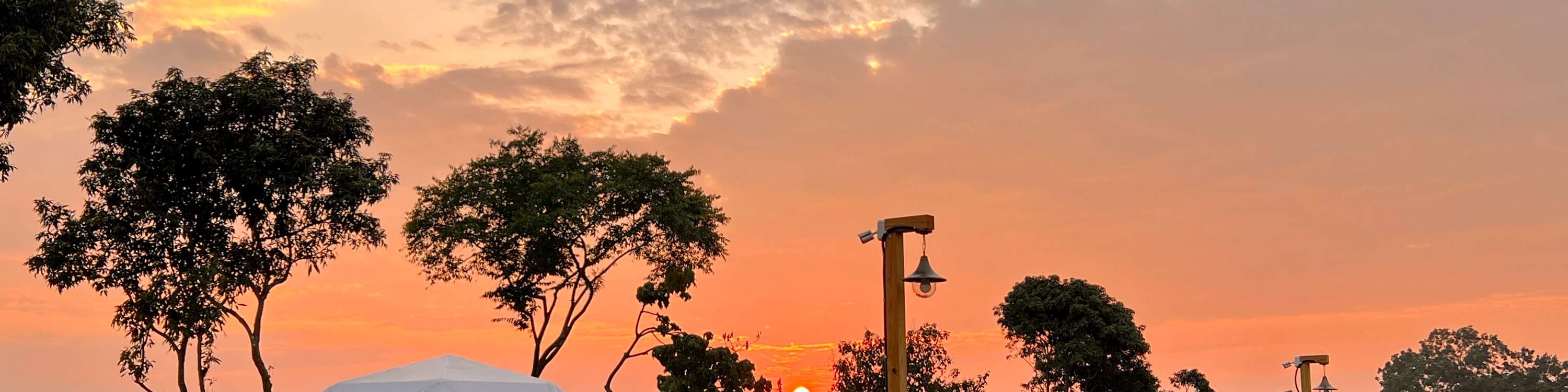 嘉義：歸樸森活豪華露營