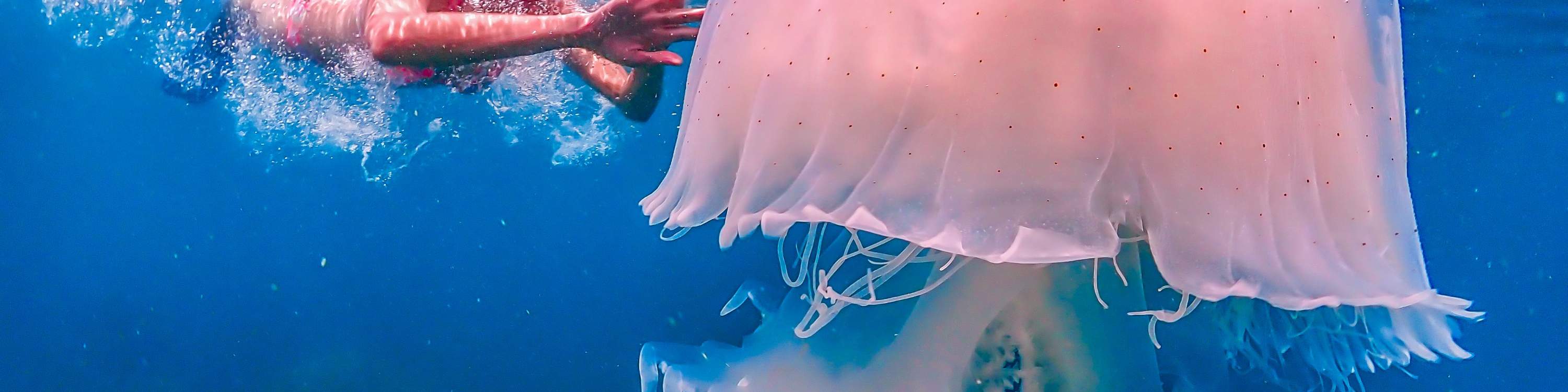 Esperienza all'Isola di Nemo con Foto con Drone e Pranzo