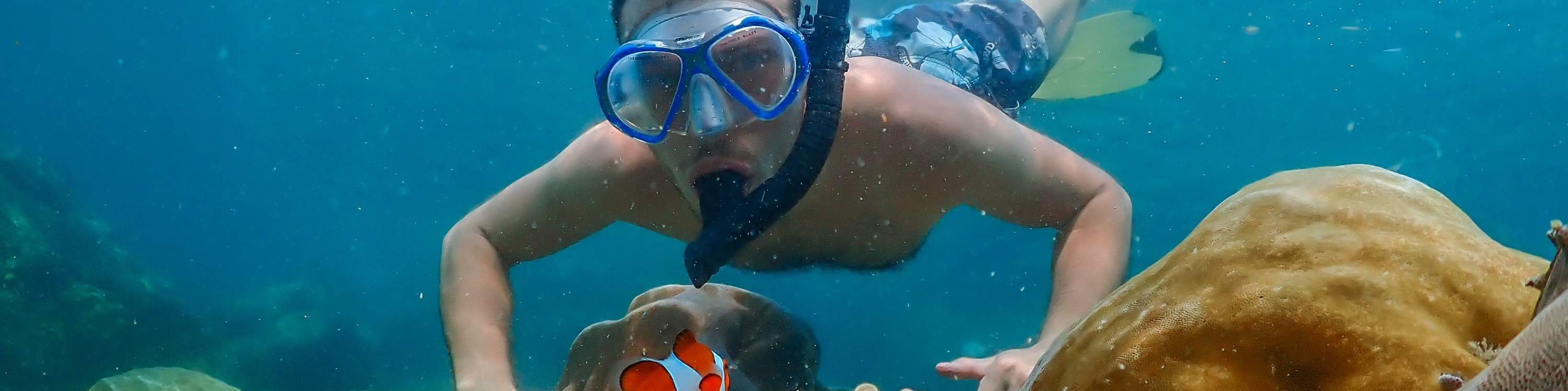 與尼莫一起游泳