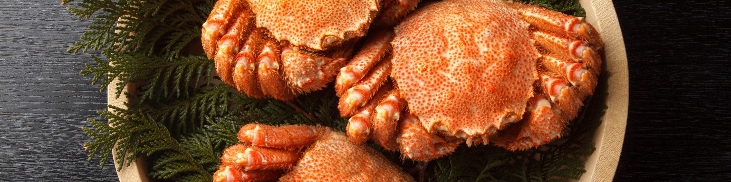 ร้าน Kanisushi Kato ซัปโปโร｜อาหารประเภทปู - ฮอกไกโด