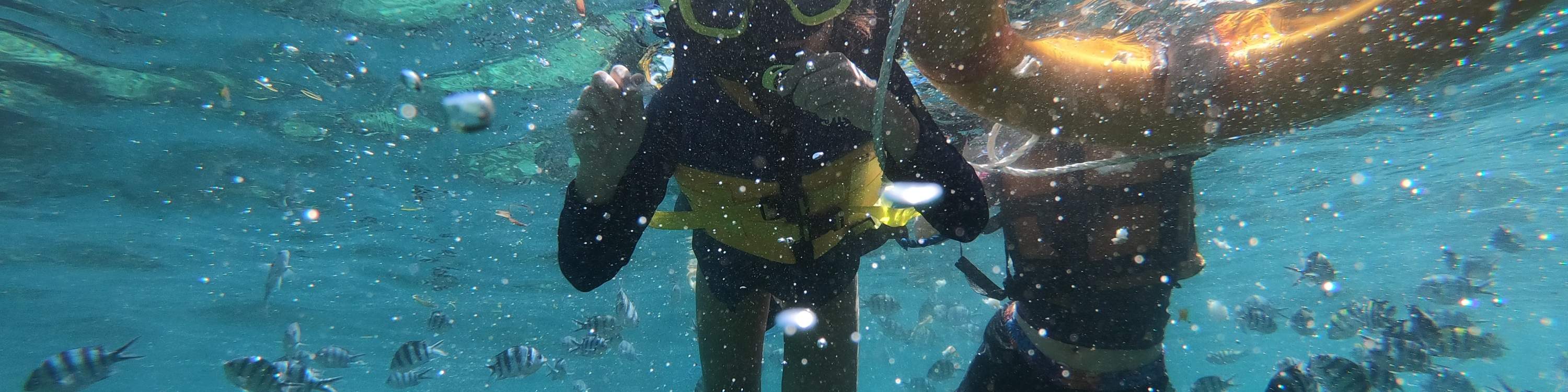 龜島 & 玻璃底船 & 紅樹林巡航之旅（JTB Indonesia提供）