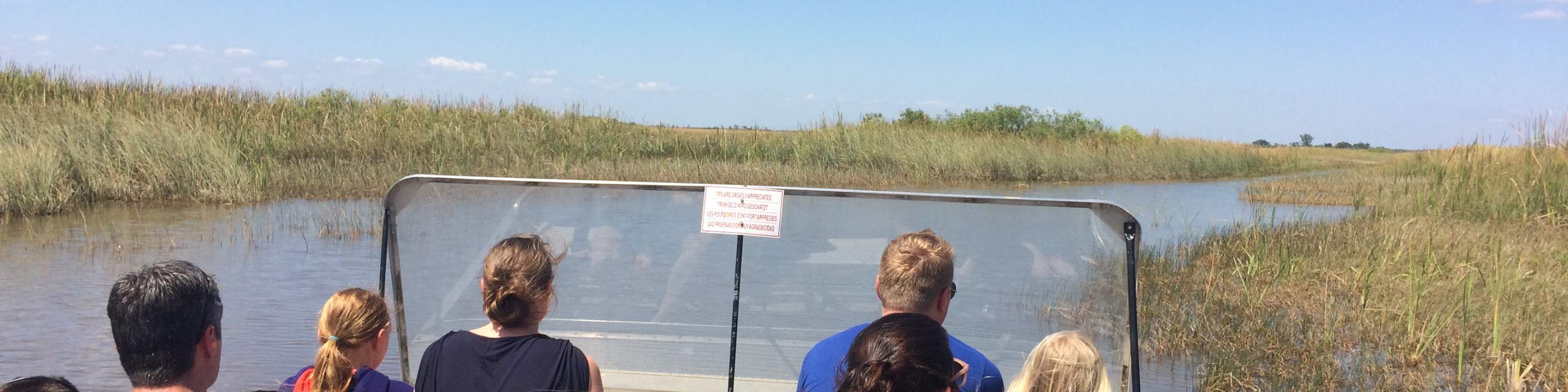 Experiencia en hidrodeslizador y caimanes en los Everglades