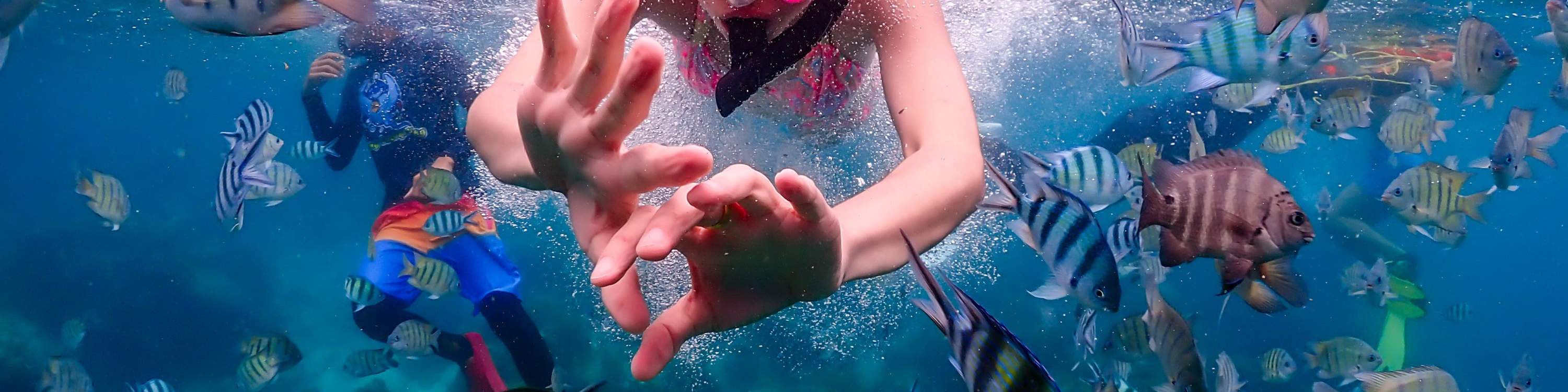 暢遊水中，欣賞周圍的魚兒