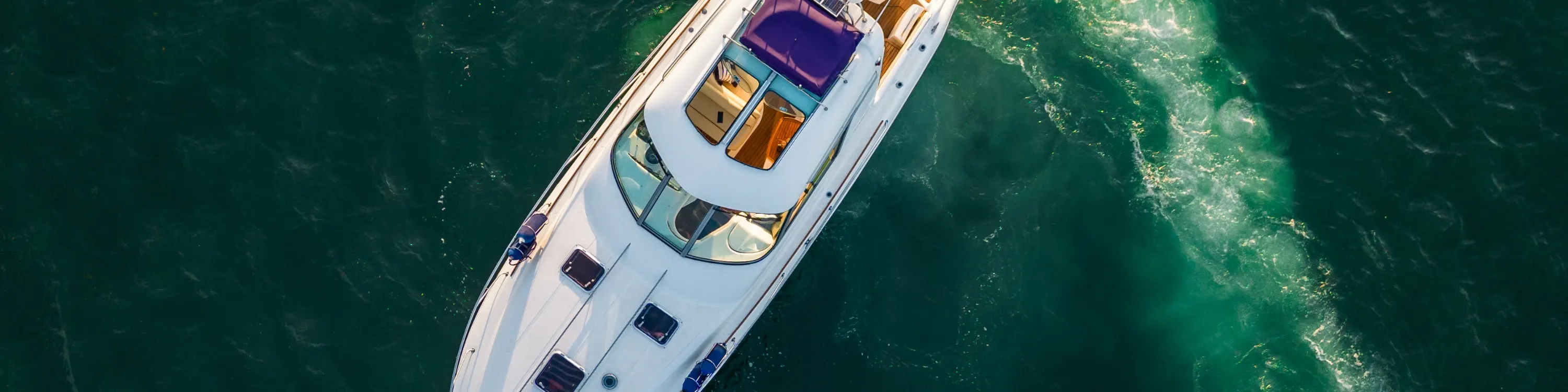 cruise