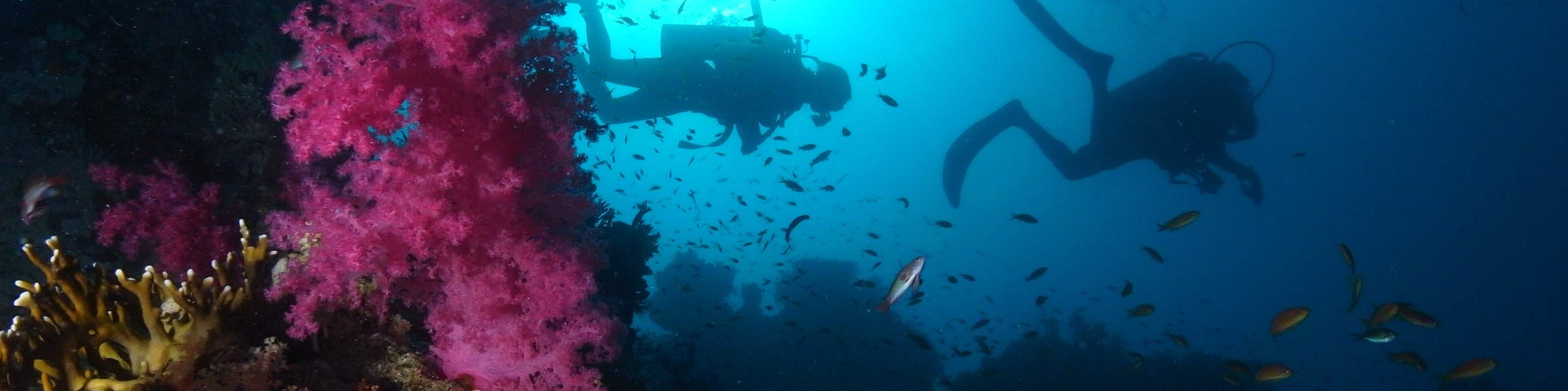 Dive Deeper and Longer PADI Enriched Air Diver in Kuala Lumpur with