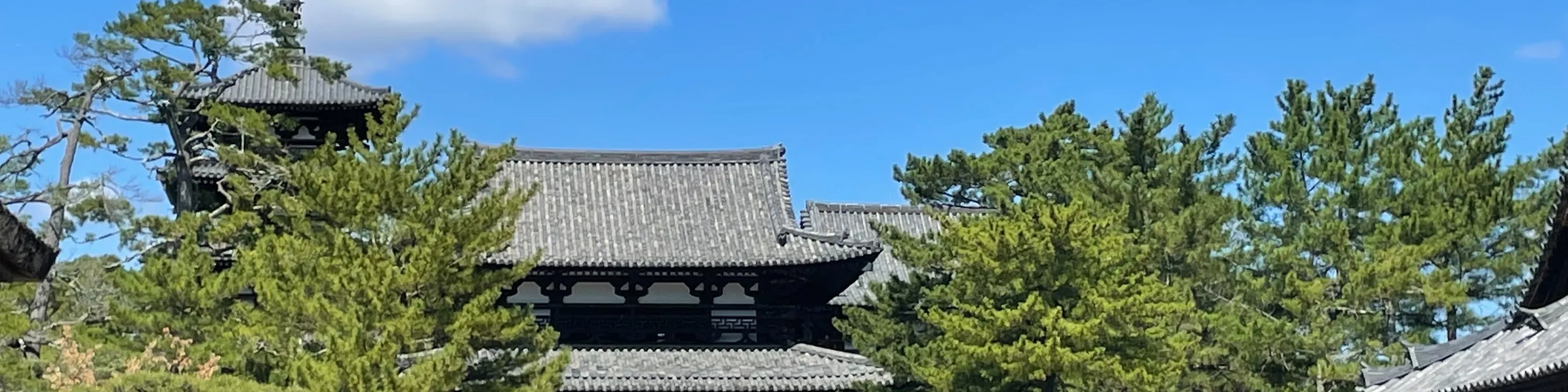 世界水果「法隆寺」まで自転车で5分