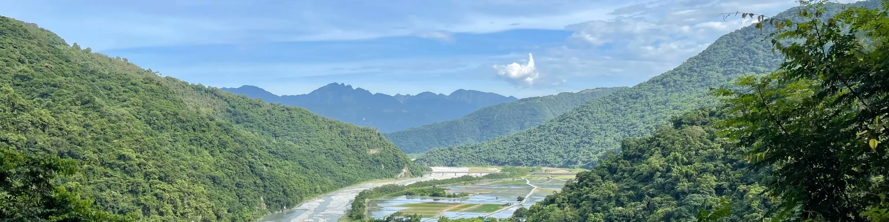 黑熊森林踏查｜台湾黑熊栖地生态解说一日游