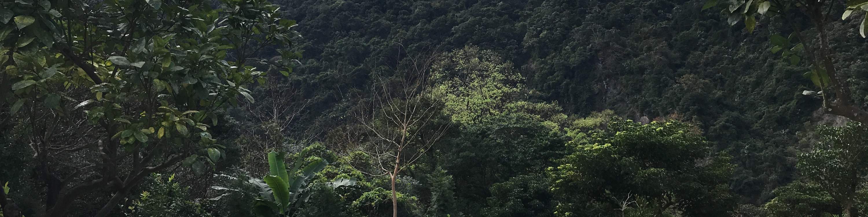 นิวไทเป: อูไหล ฟุตะริสึจิ ออนเซ็น・โรงอาบน้ำกลางแจ้ง・ห้องอาบน้ำวิวทิวทัศน์・ประสบการณ์มินิกอล์ฟ