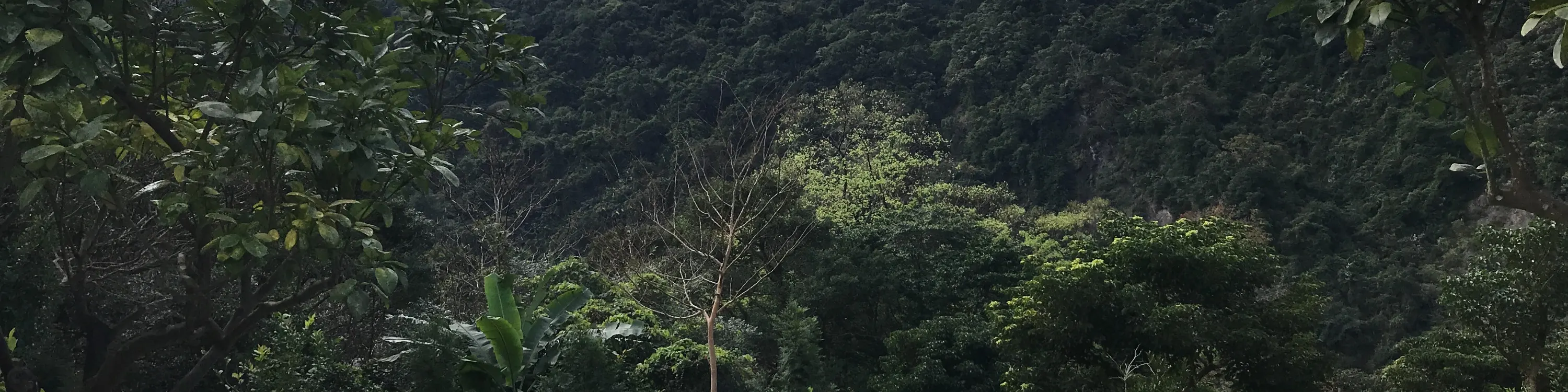 新北: 乌来足立司拉温泉・户外露天风吕・景观汤屋・迷你高尔夫体验