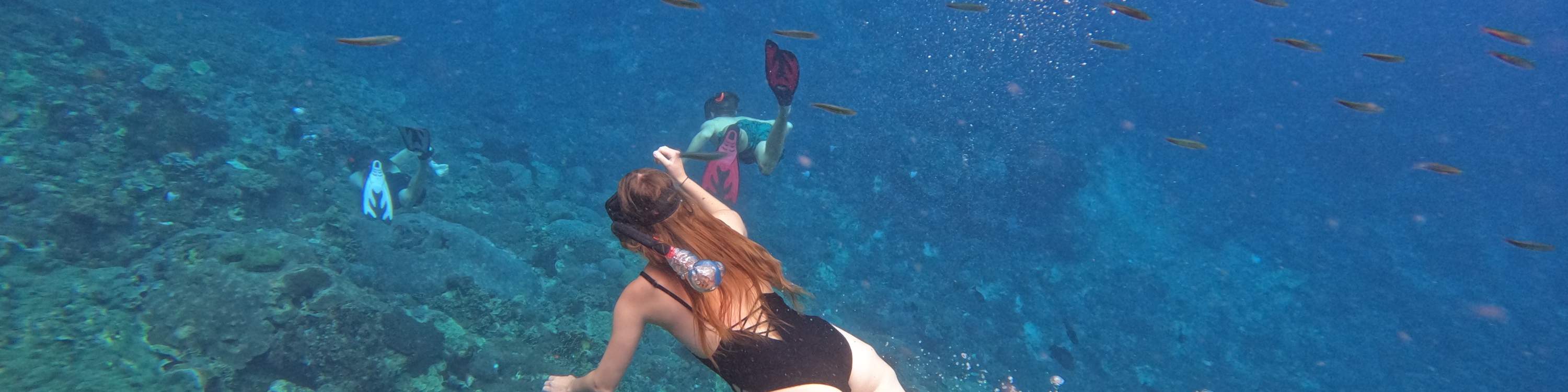 與魚兒一同浮潛