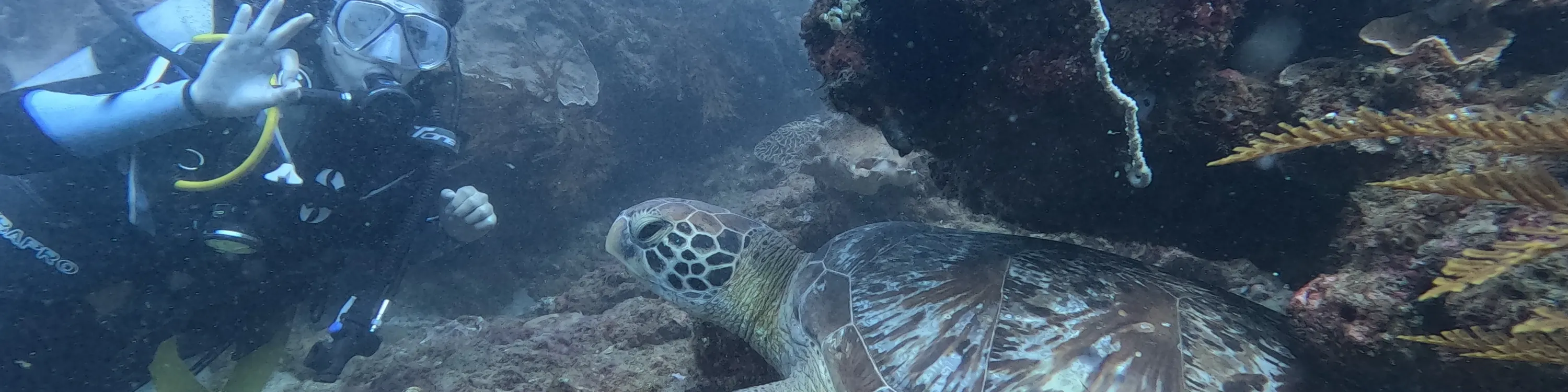 水肺潜水