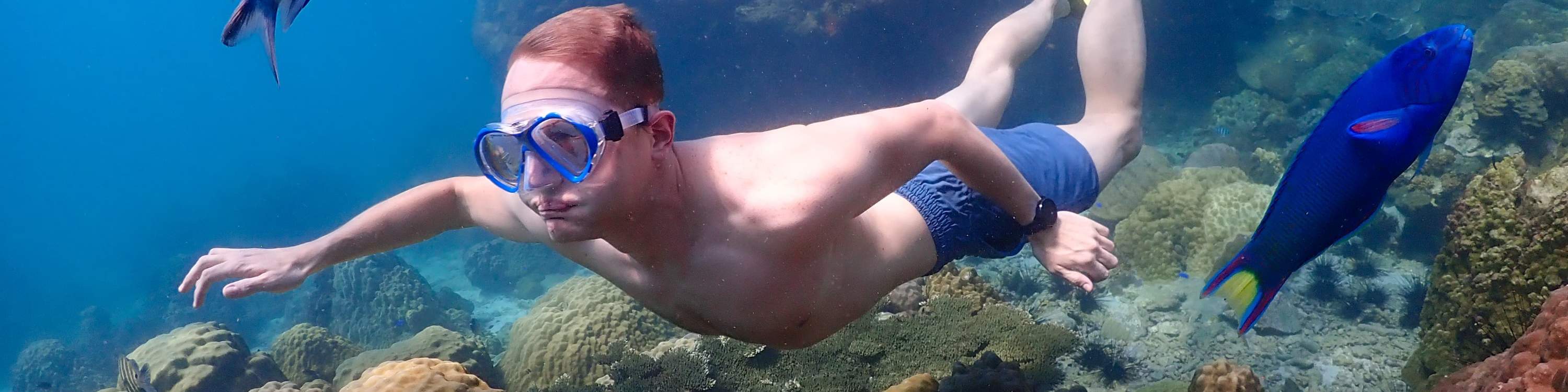 尼莫島體驗之旅（含無人機照片和午餐）