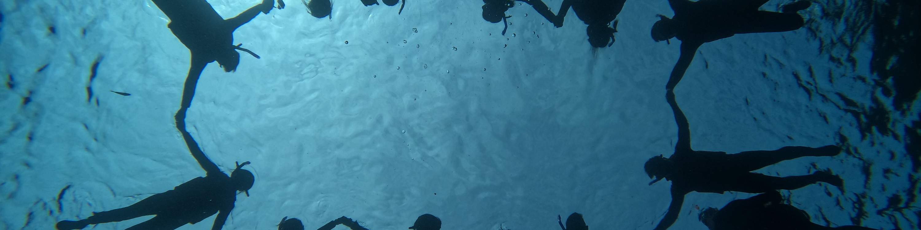 Membuat bulatan di laut