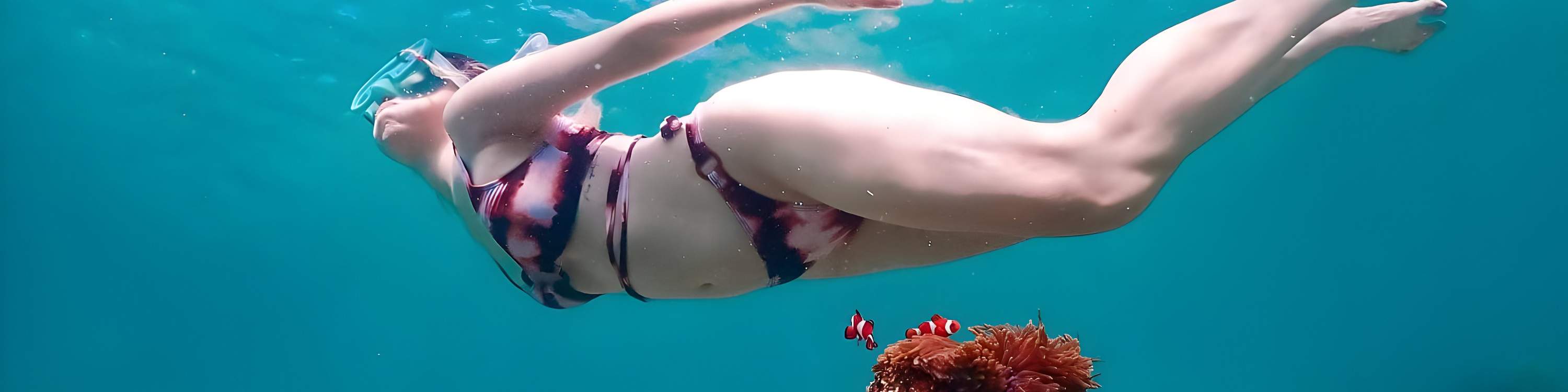 探索芭堤雅海洋生物