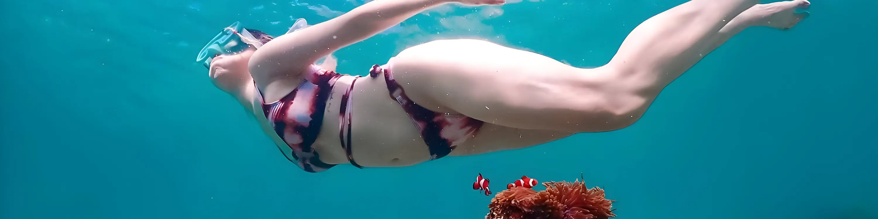 探索芭堤雅海洋生物