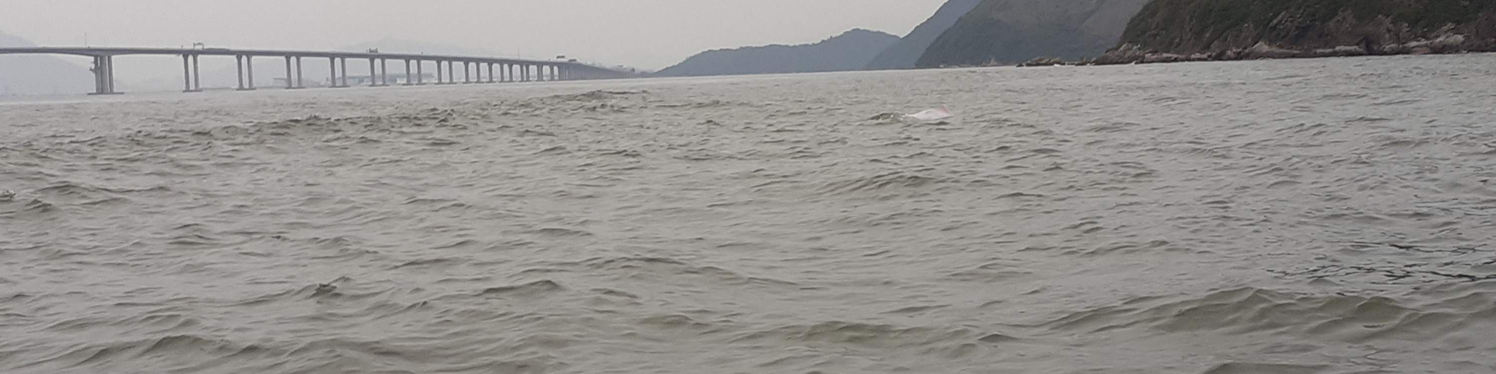 Tiket bot bersiar-siar Tai O