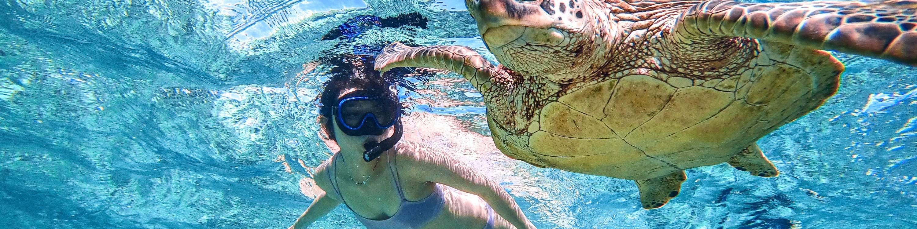 [Miyakojima/1 jour] SUP & Plongée avec tuba et tortues de mer