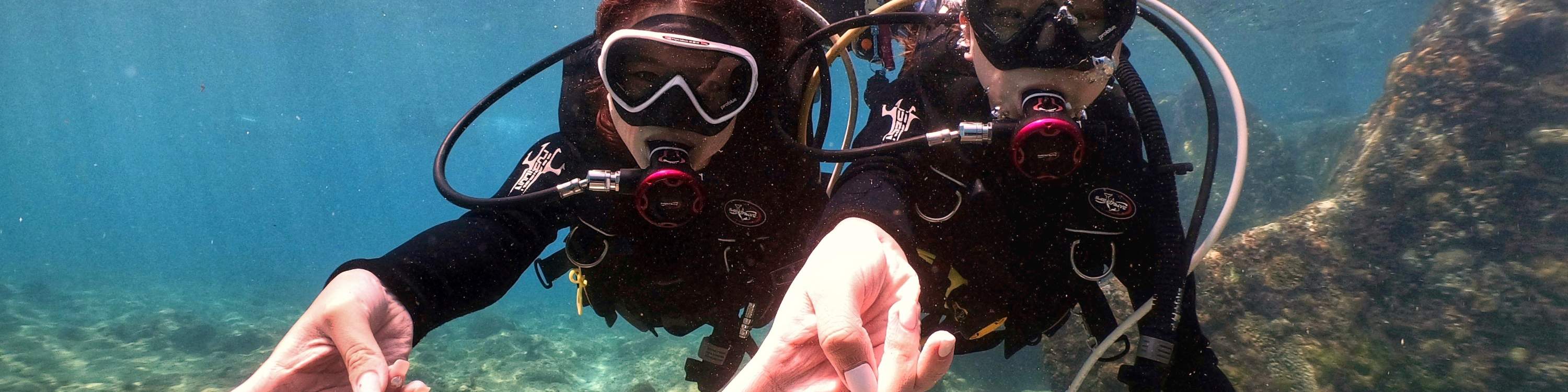 Xiaoliuqiu Schnorcheln: Poseidon Ocean Sports Club - Schnorchelerlebnis