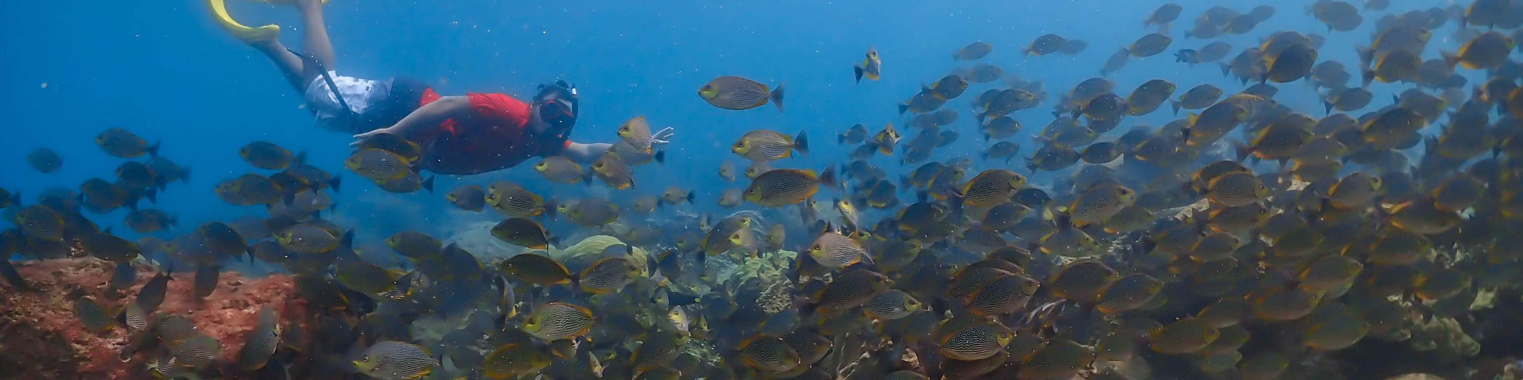 Esperienza all'Isola di Nemo con Foto con Drone e Pranzo