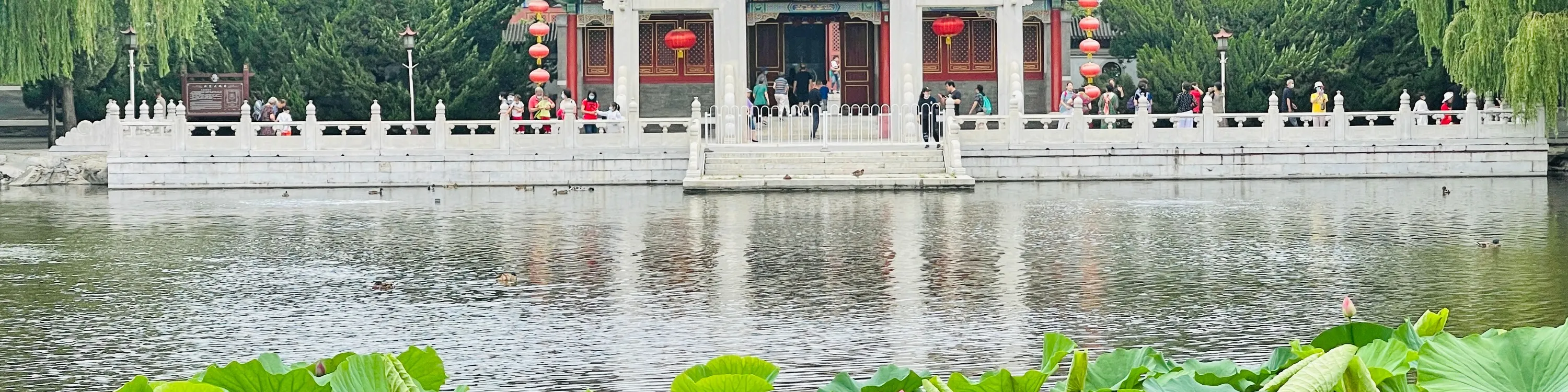 大观园