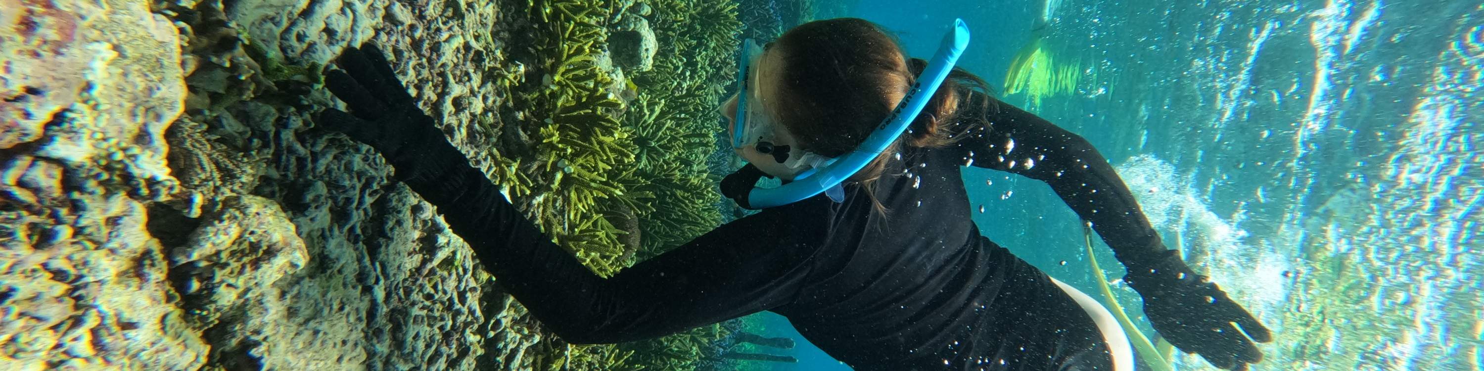 Snorkeling di Nusa Penida