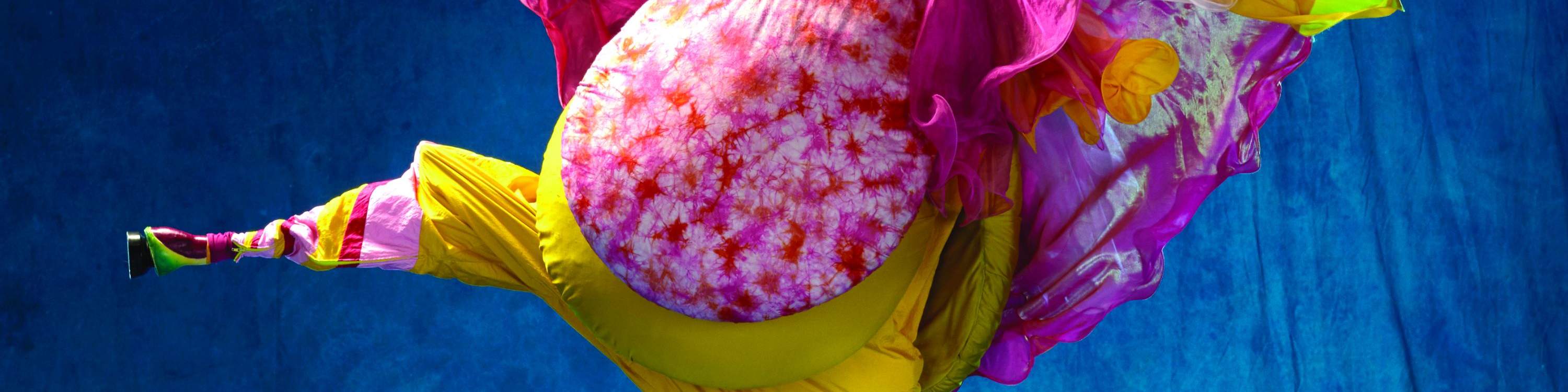 在這個激動人心、獨一無二的演出中，歡笑、刺激和令人難忘的表演正等著你